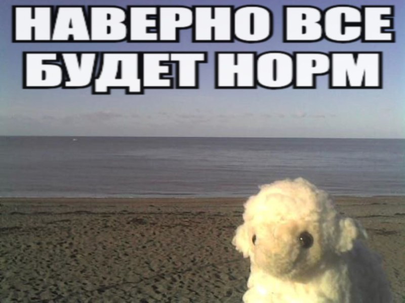 Утренняя подборочка