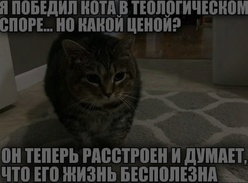 Ночная подборочка
Спать, режим