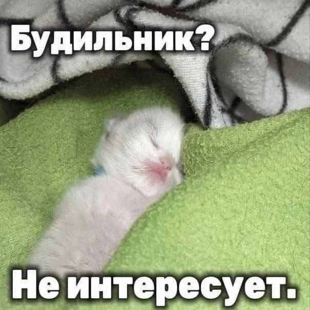 Утренняя подборочка