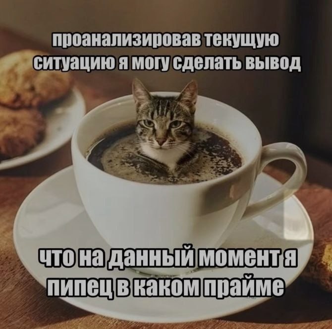 Ночная подборочка
Спать, режим