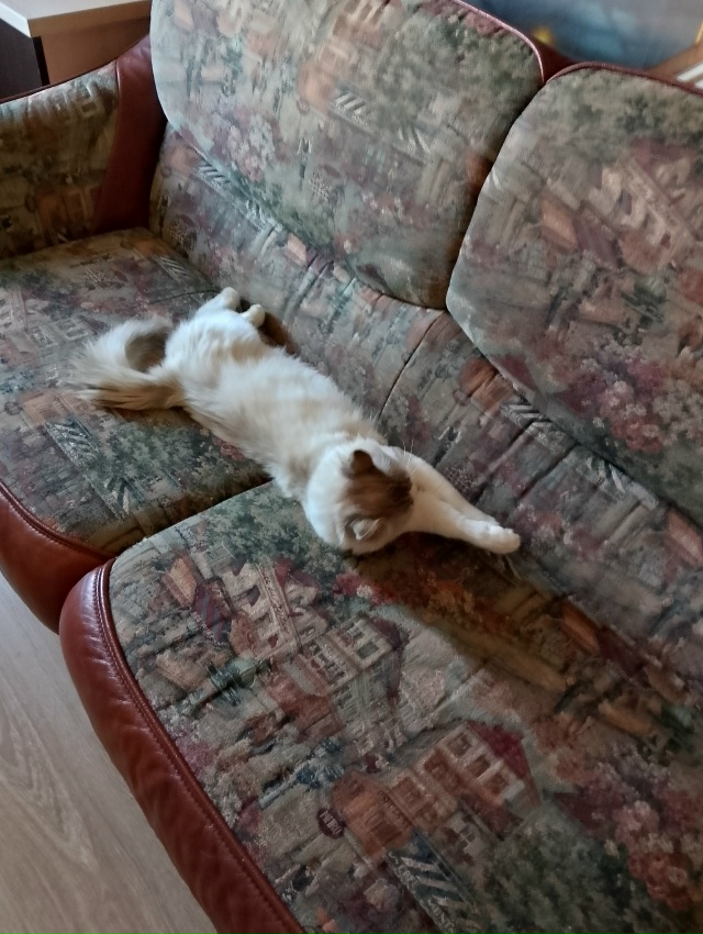 Кося... 🤗