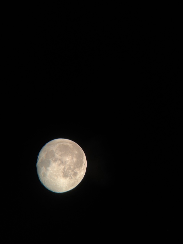 сегодняшняя луна в телескоп 🔭
анон