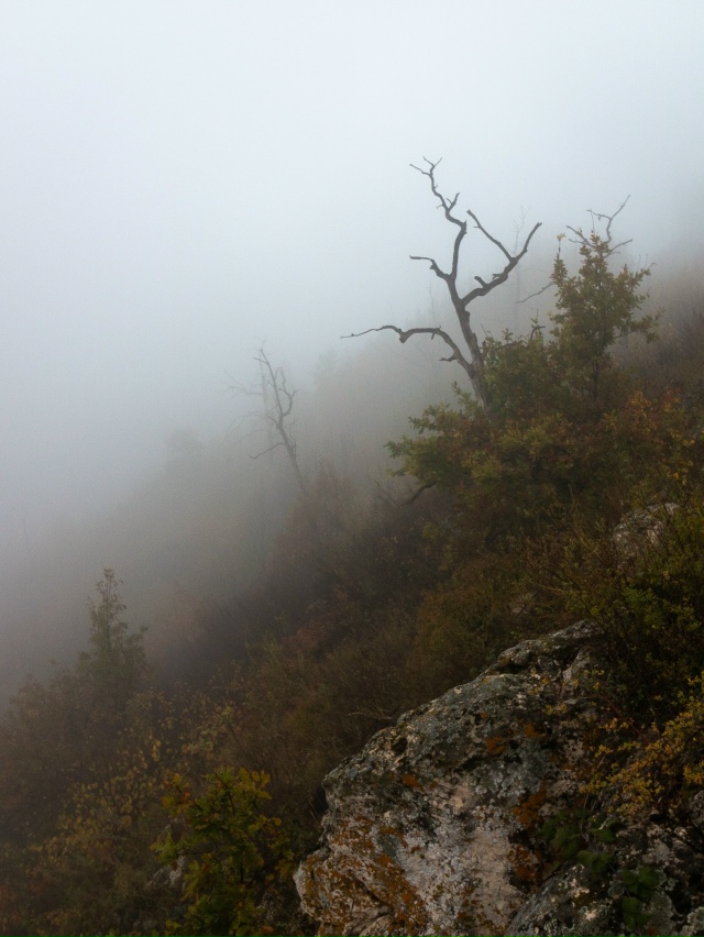Сентябрьский туман на горе Отважная, Жигулевские горы,...