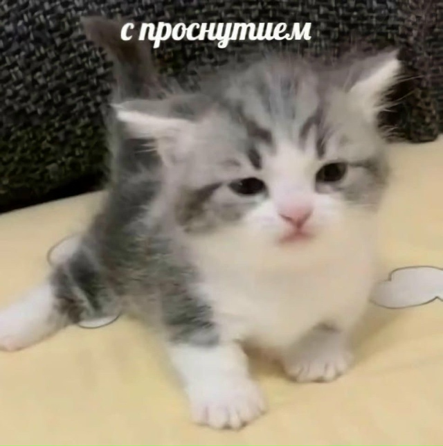 Дoбpoe утpo ☀️