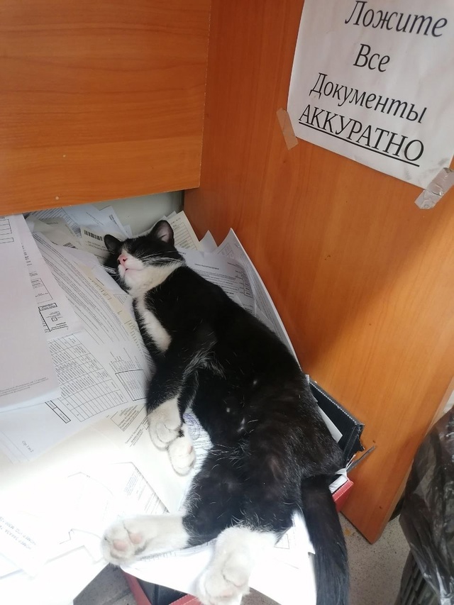 Один документ очень аккуратно сложен :3