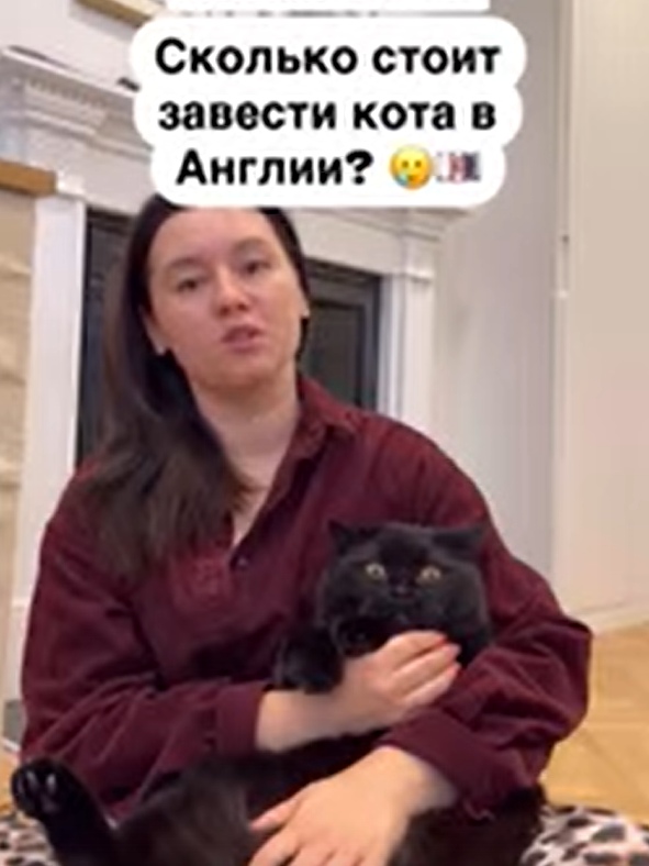 Кошка по цене машины: во сколько обходится питомец в Ан...