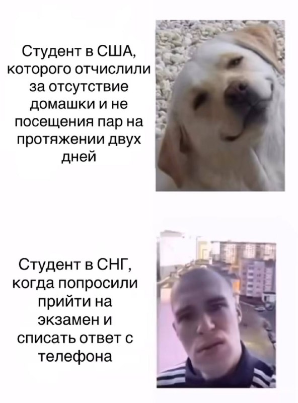 а еще что сделать