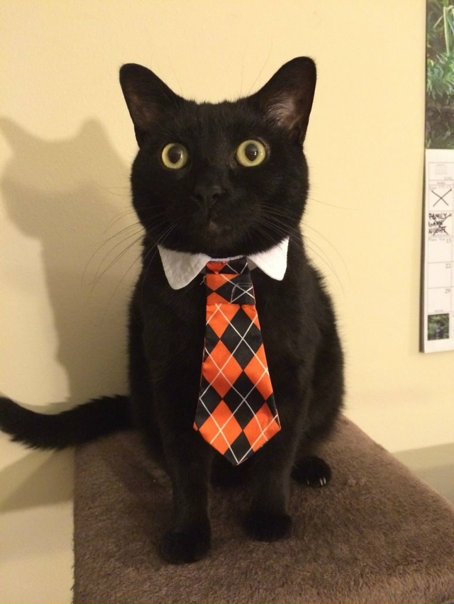 Всемирный день МУЖЧИН отмечается сегодня — в этот ден?...