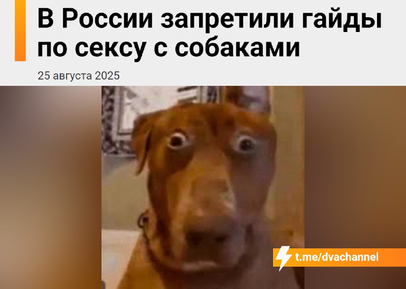⚡️Секс с собаками В С Ё: в России запретили гайды по сексу с собаками.
Московская прокуратура через