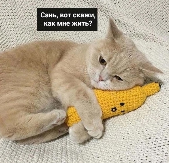 Саш, помоги