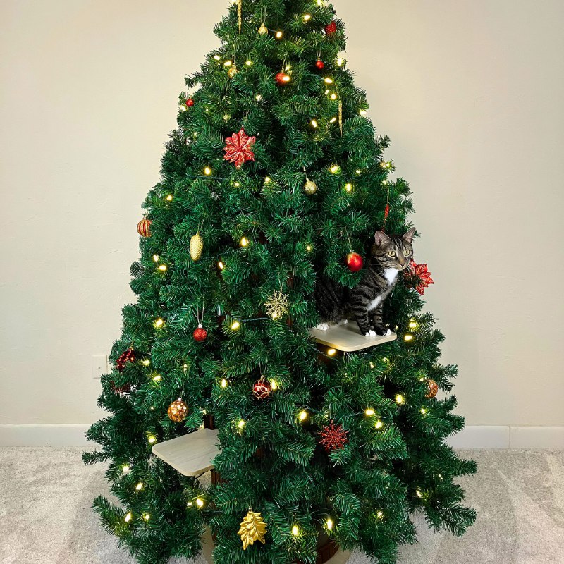 Компания Meowpy сделала ёлку для котов
Это по сути домик для кошек, куда вставляют ветки: теперь не