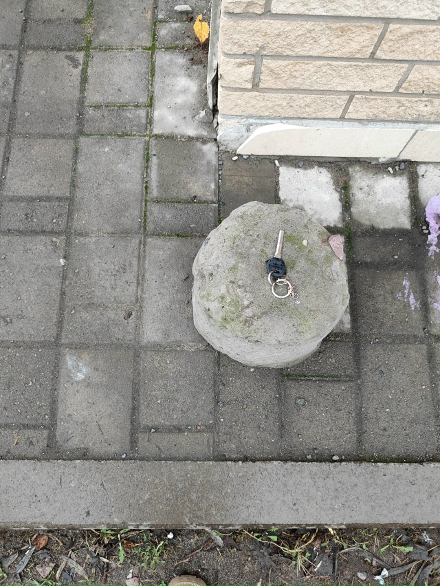 Обранили ключи парковка у магазина Доброцен Ленина 6Б