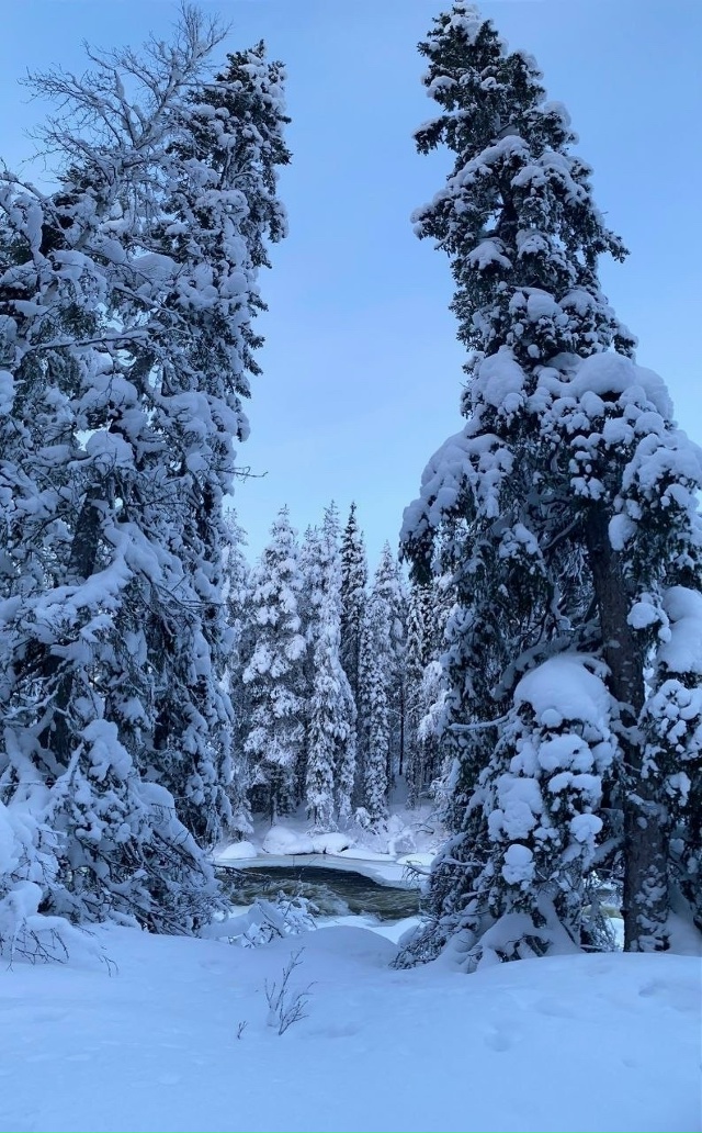 Настоящая зимняя сказка «Морозко» в Мурманской област...