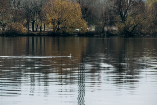 Осенний Воронеж🥰
