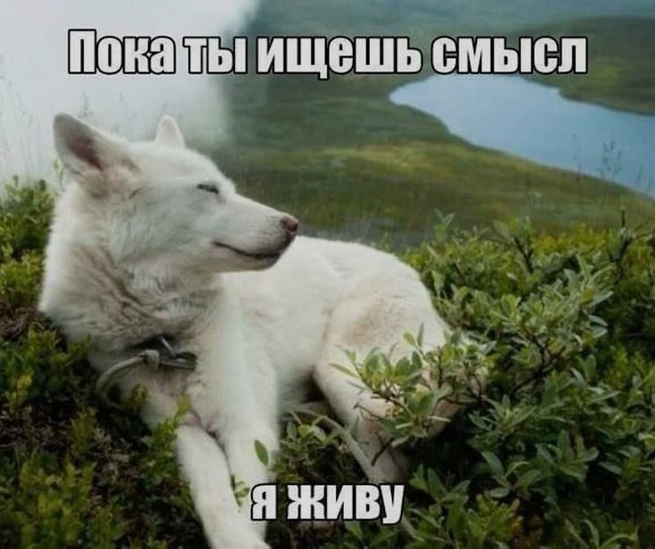 Ночная подборочка
Выходные, не спим