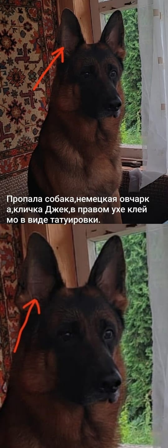 Здравствуйте, звоните будем рады любой информации 8904518...