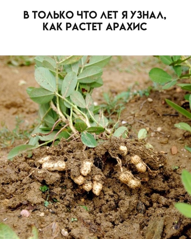 Время открытий.