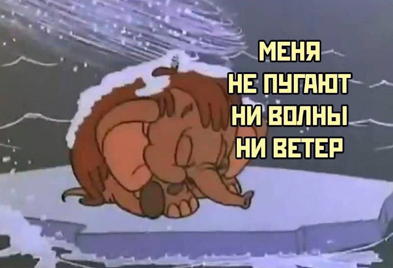 я: я никуда не пойду в такую погоду
посылка: *ожидает в пункте выдачи*
я: