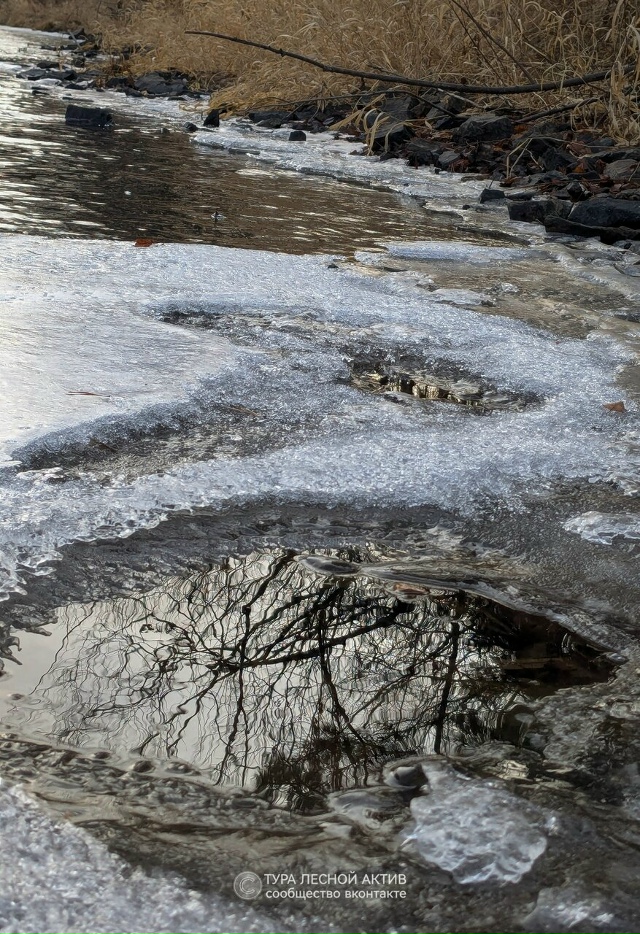 Ноябрь у реки Тура во всей эфемерной красоте.
Окрестно?...