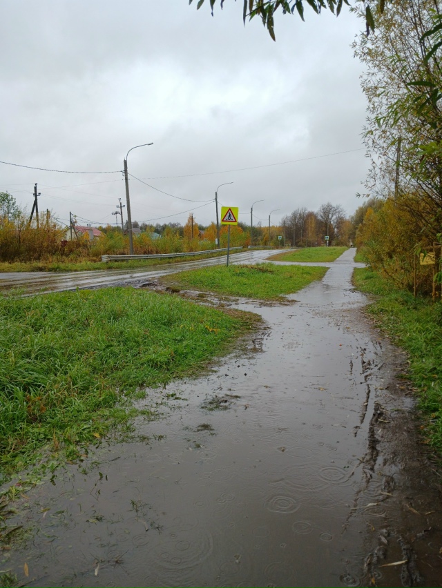 Ну, что, выборы прошли и можно дальше сидеть в подполье?...