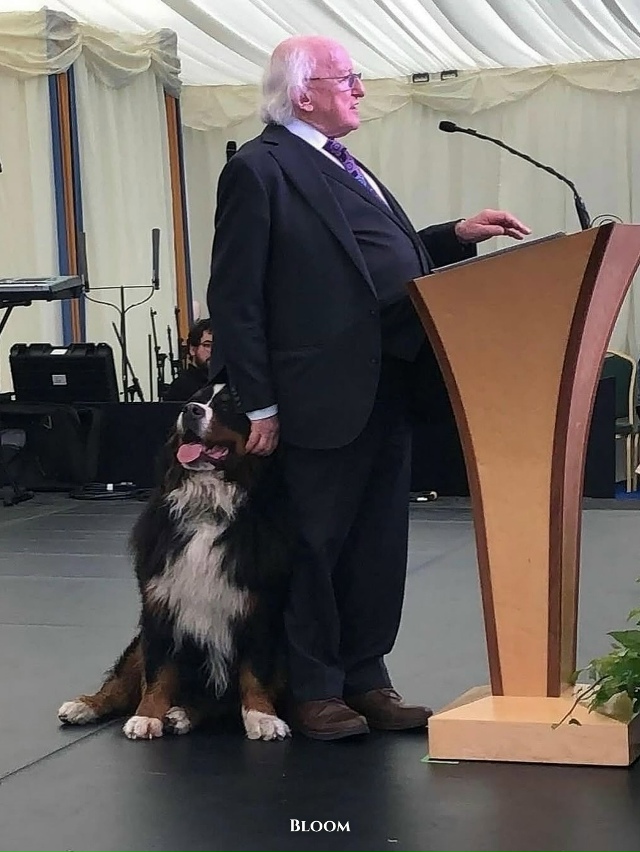 Президент Ирландии Майкл Хиггинс давно известен не то?...