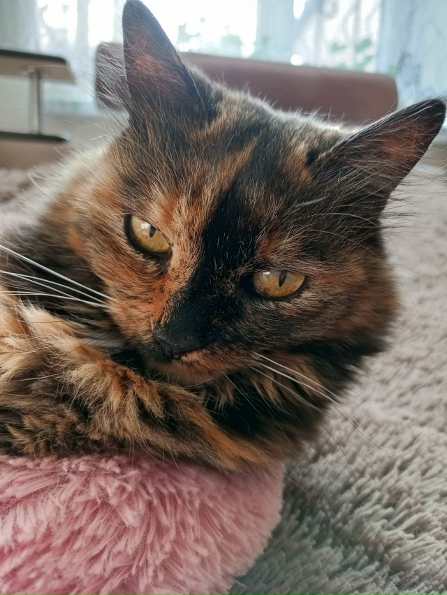 Тасенька Любимовка всей семьи