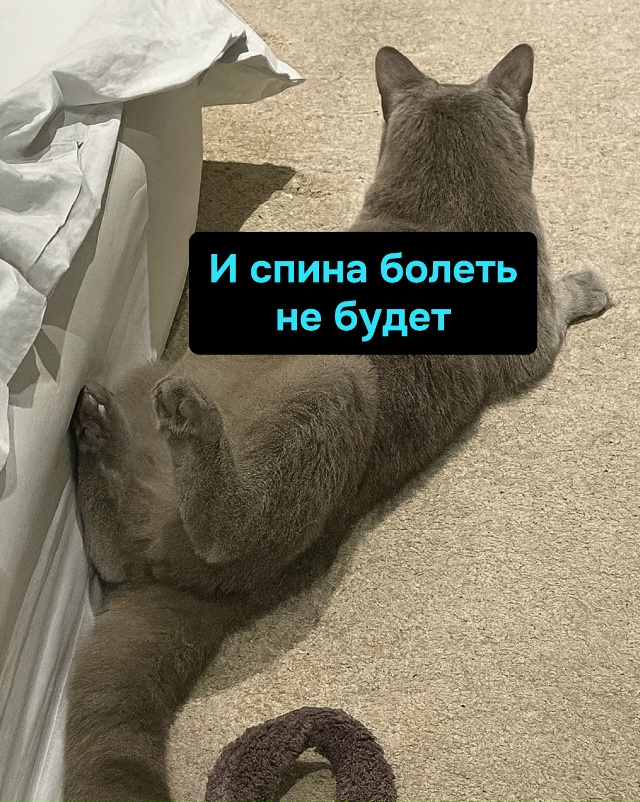 Зачем абонемент в зал, если дома живёт бесплатный фитн?...