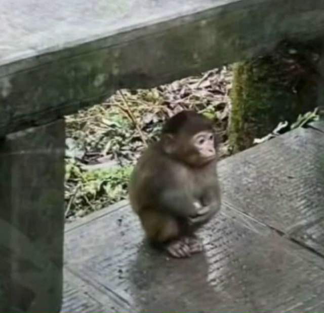 Стремительность в личной жизни