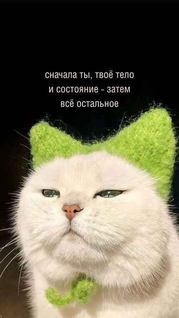 Возможно тебе это сейчас нужно ❤️