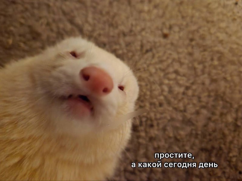 доброе утро…