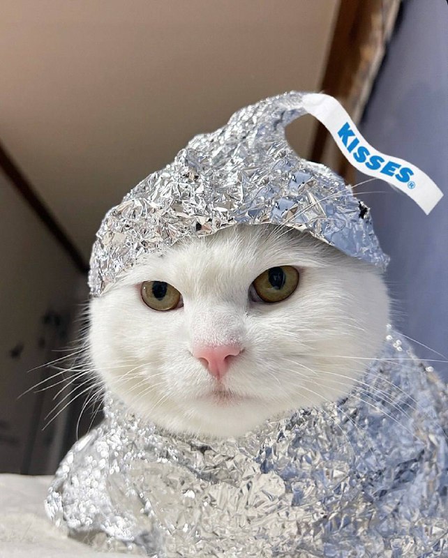 Инопламтяне не прочитают мои мысли (их нет)