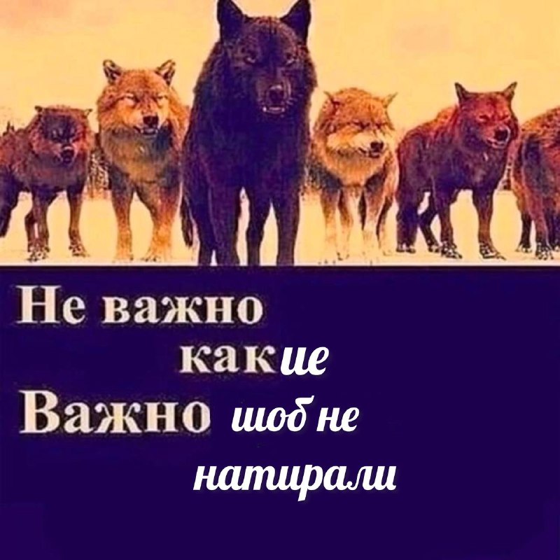 Я раньше, подбирая босоножки на лето: главное, чтоб были стильные и красивые
Я сейчас: