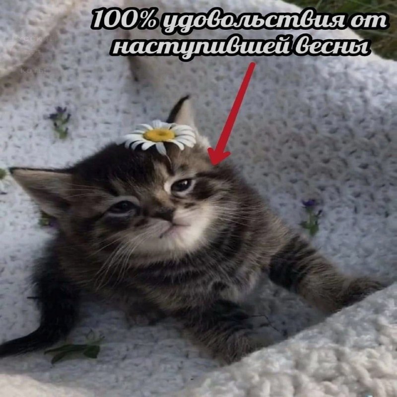 Утренняя подборочка