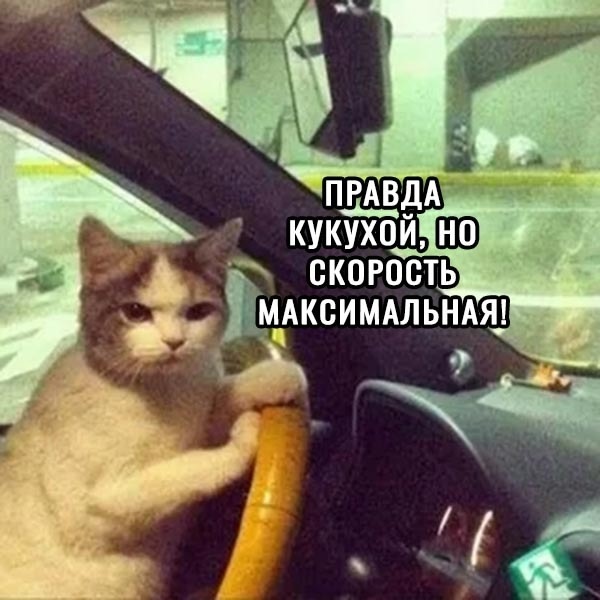 Поехали!