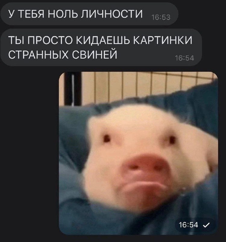 Утренняя подборочка