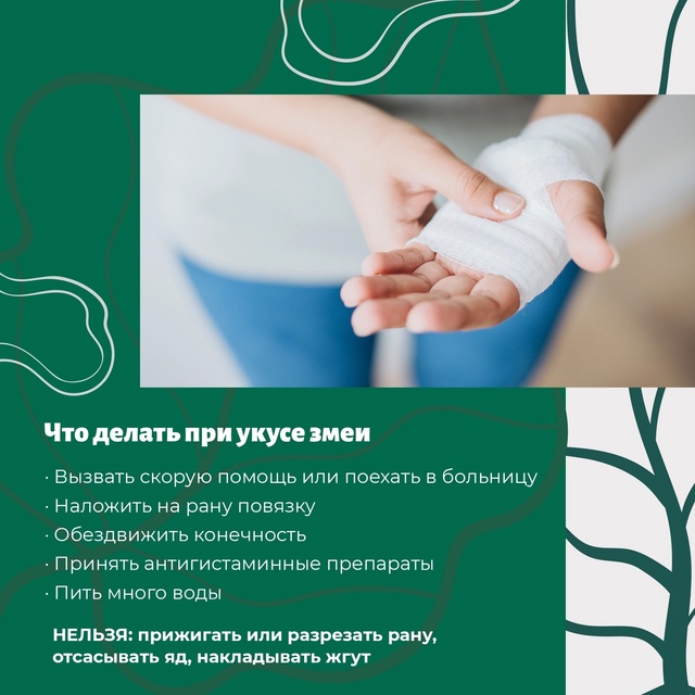 Ос-с-с-торожно на прогулке!
В теплые летние дни в Югре ...
