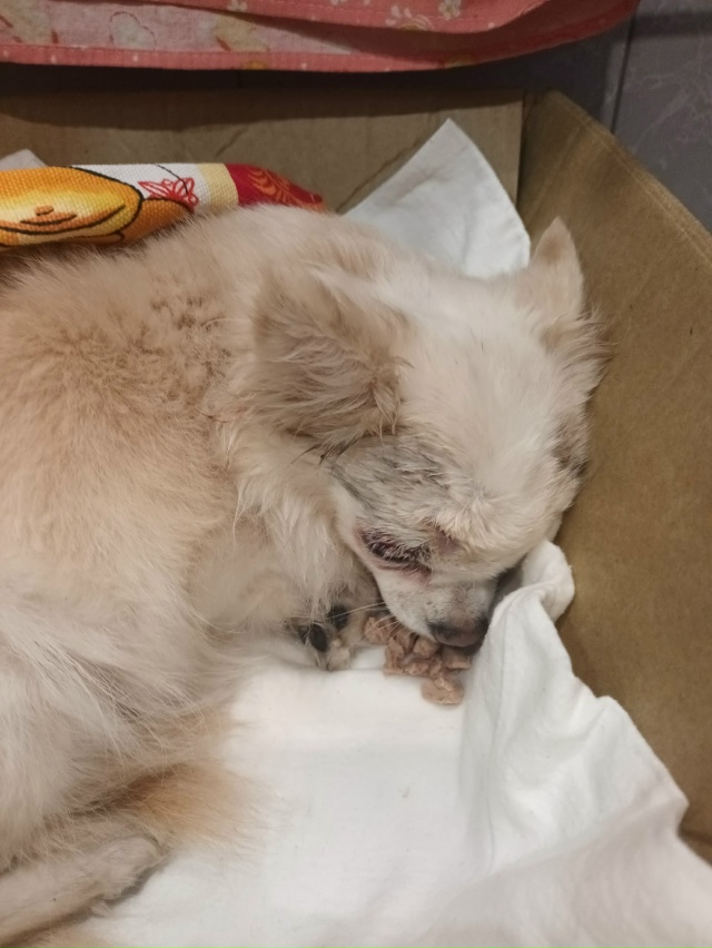 Ну что вы за люди, такого малыша на улицу выпустили или ...