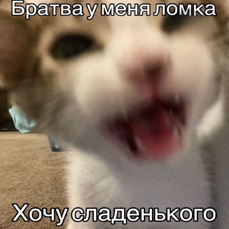 Утренняя подборочка