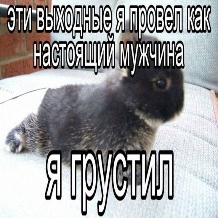Утренняя подборочка