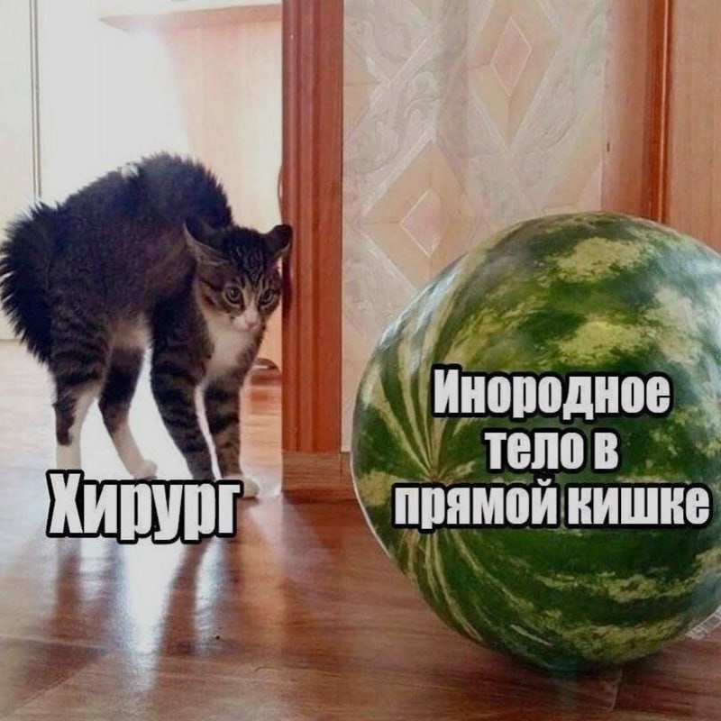 Ночная подборочка
Спать, режим