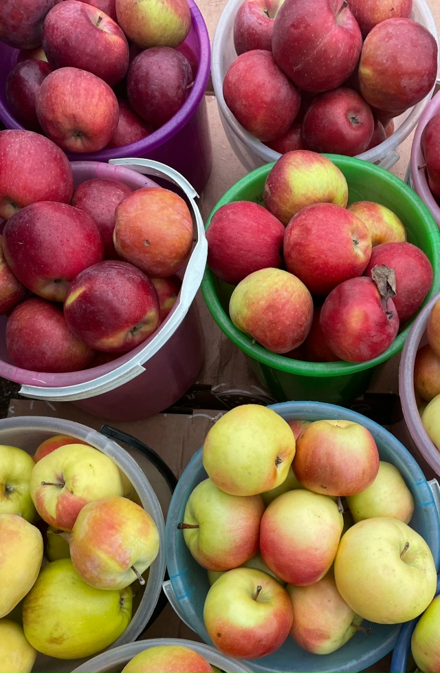 Дорогие друзья! С. Красноусольский??
Приедем в воск?...