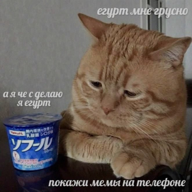 Ночная подборочка
Спать, режим