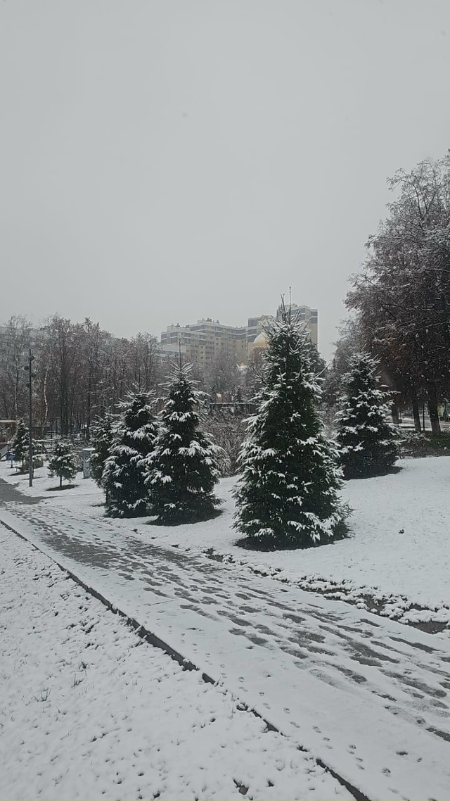 С первым снегом, Видное ❄️ ❄️ ❄️