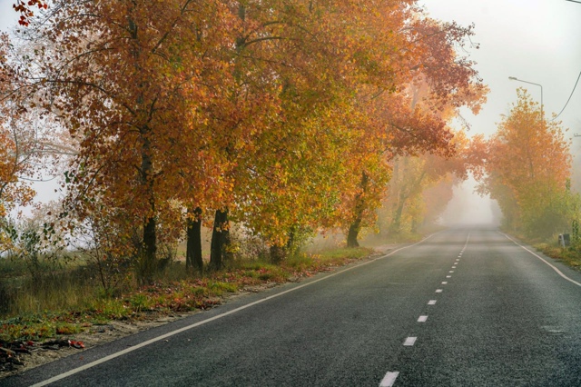 🌫 Туман ожидается в Самарской области 17 октября
⚠️ С...