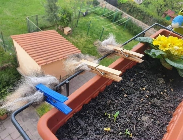 Национальная федерация дикой природы (NWF) рекомендует ?...