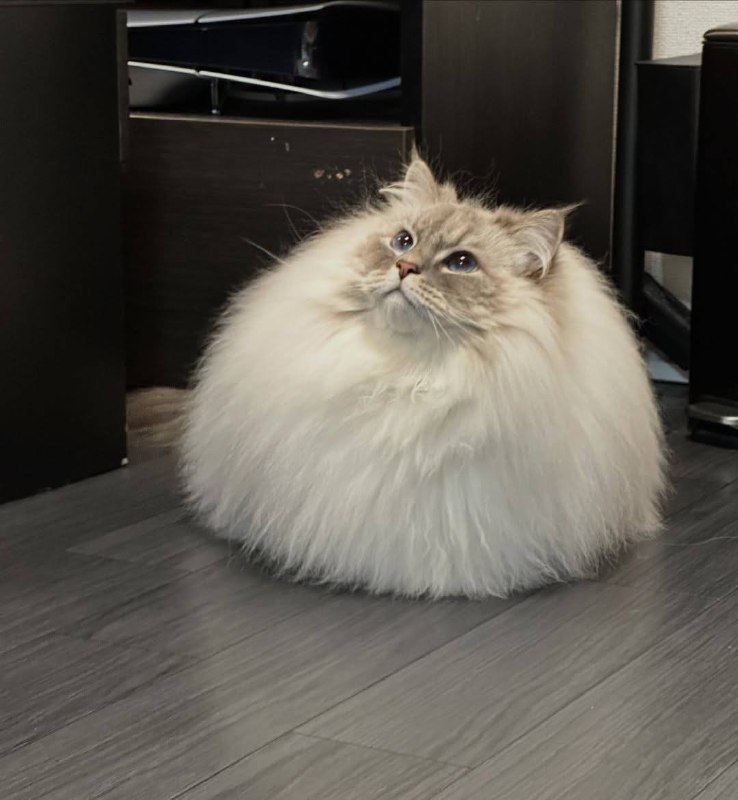 Грозовое облачько :3