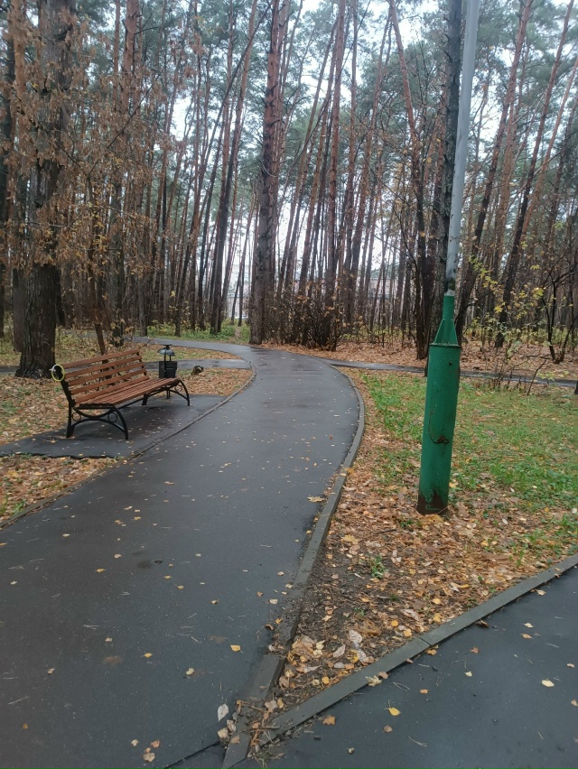 Найден светящийся ошейник в сквере возле школы 1.