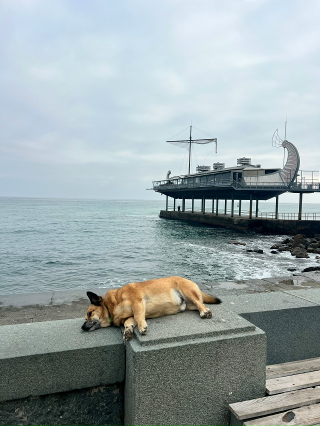 На чиле, на расслабоне 🏖️