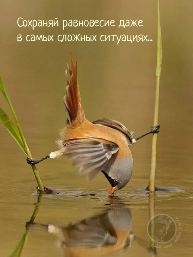 Будьте смелее!