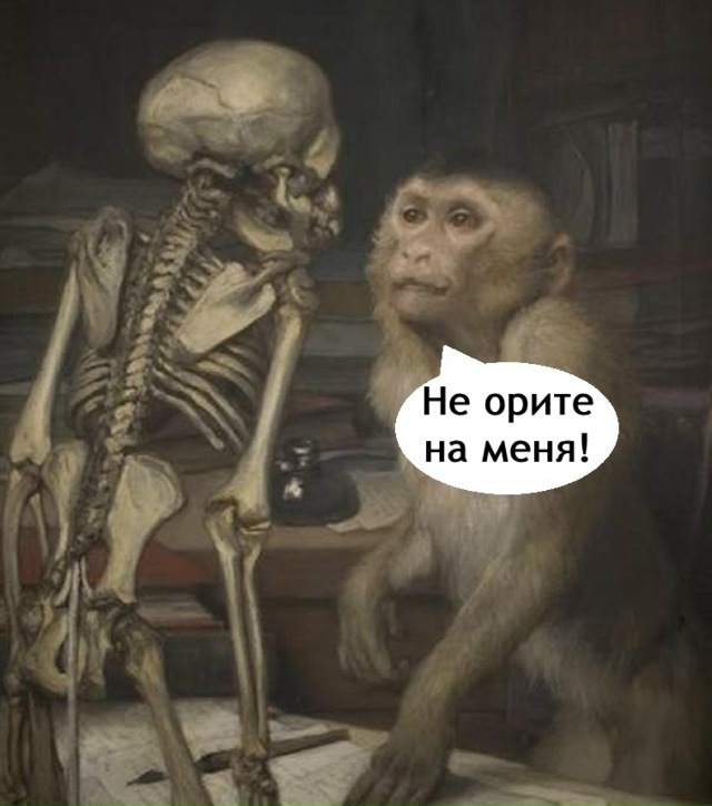 Что за жиза!